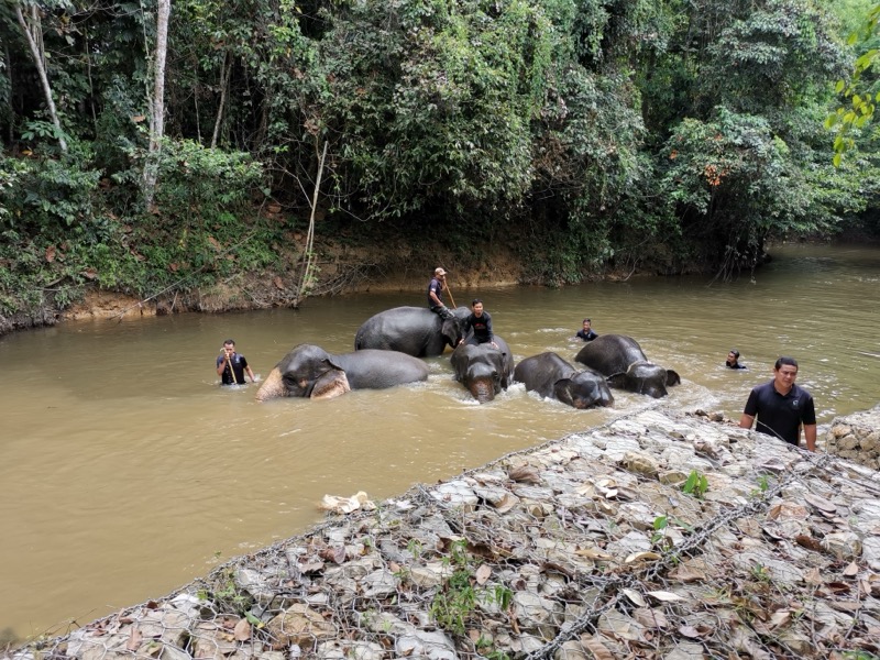 EcoNadi Ventures environmental consultants conducting sustainability fieldwork in Malaysia